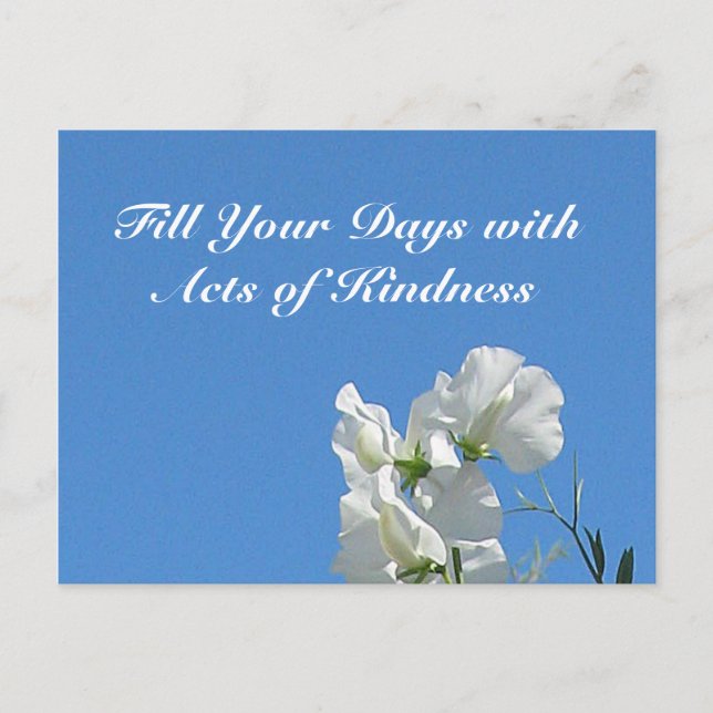 Tarjeta postal de Sweetpeas (Anverso)