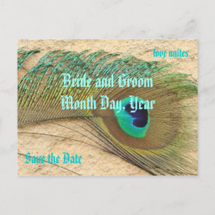 Tarjeta Postal de Tema de Pavo Real para Guardar l