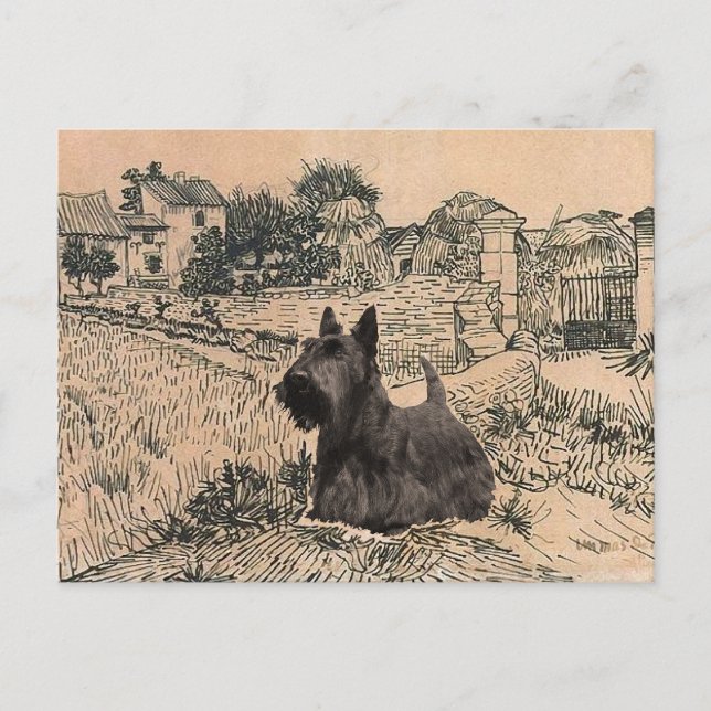 Tarjeta postal de territorio escocés (Anverso)