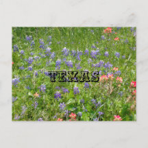 Tarjeta postal de TEXAS