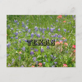 Tarjeta postal de TEXAS