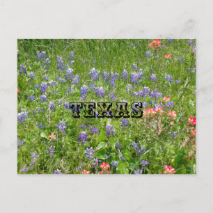 Tarjeta postal de TEXAS