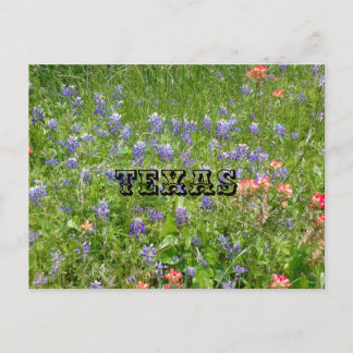 Tarjeta postal de TEXAS