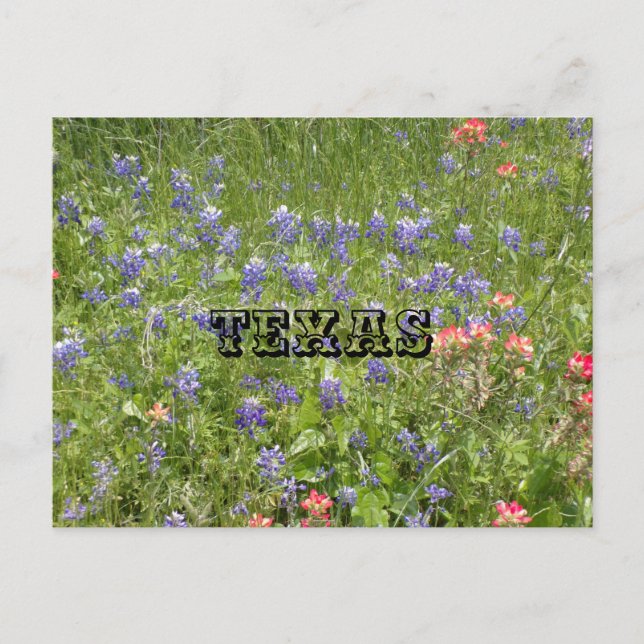 Tarjeta postal de TEXAS (Anverso)