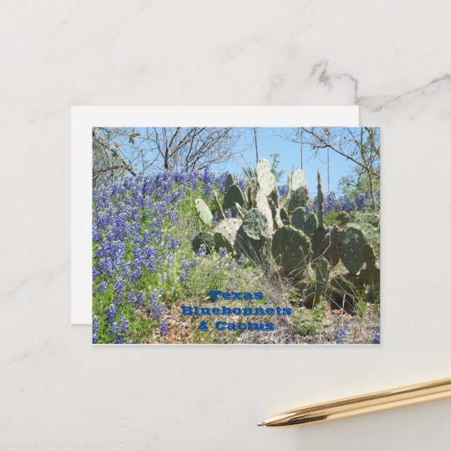 Tarjeta postal de Texas Bluebonnets y Cactus (Anverso/Reverso In Situ)