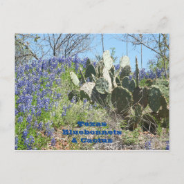 Tarjeta postal de Texas Bluebonnets y Cactus