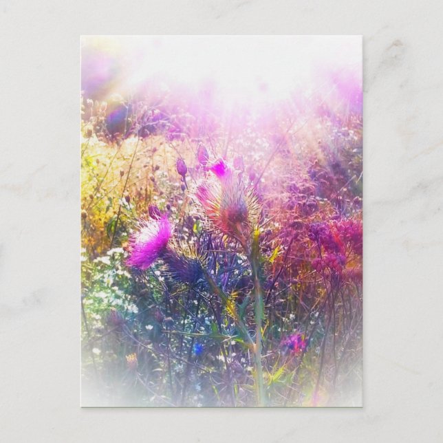 TARJETA POSTAL DE THISTLE (Anverso)