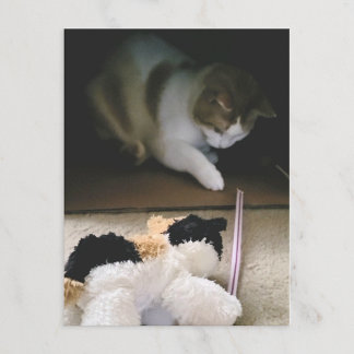 Tarjeta postal de tiempo de juego con gato de pelu