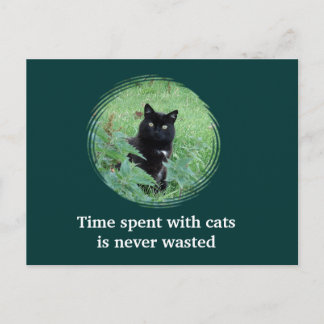 Tarjeta Postal De Tiempo Pasado Con Gatos Nunca Es