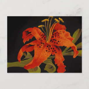 Tarjeta Postal de Tiger Lily