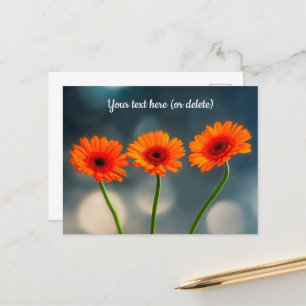 Tarjeta postal de tres gerberas naranjas en una fi