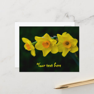 Tarjeta postal de trío de narcisos