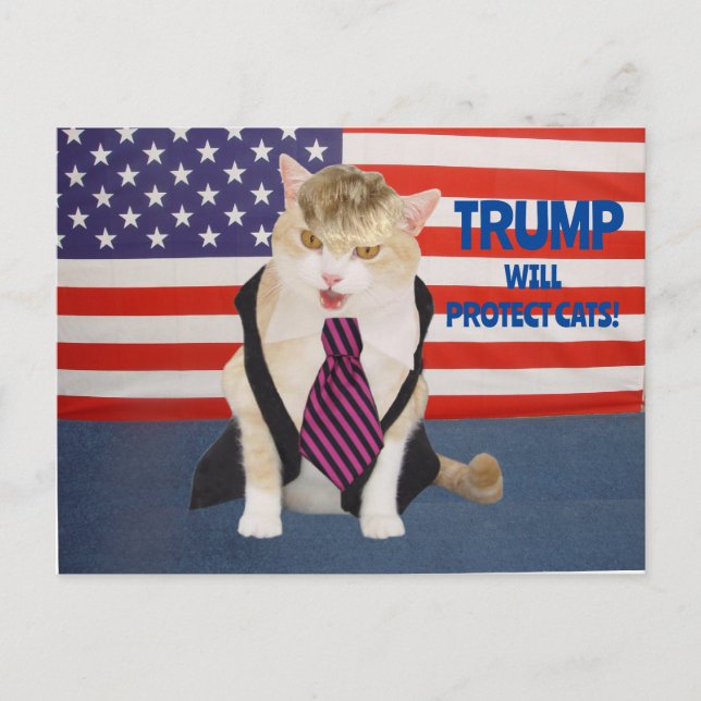 Tarjeta postal de Trump Kitty (Anverso)