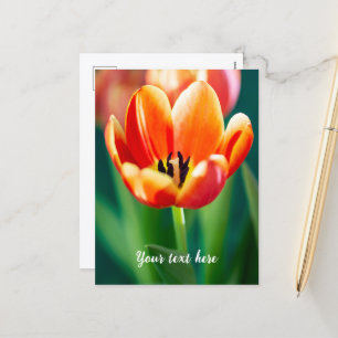 Tarjeta postal de tulipán naranja
