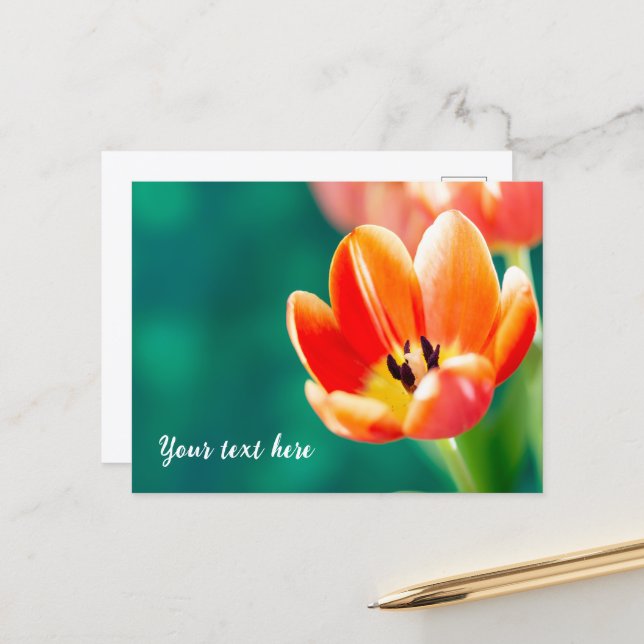 Tarjeta postal de tulipán naranja individual (Anverso/Reverso In Situ)