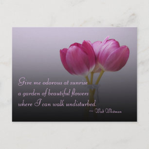 Tarjeta postal de tulipanes de Walt Whitman