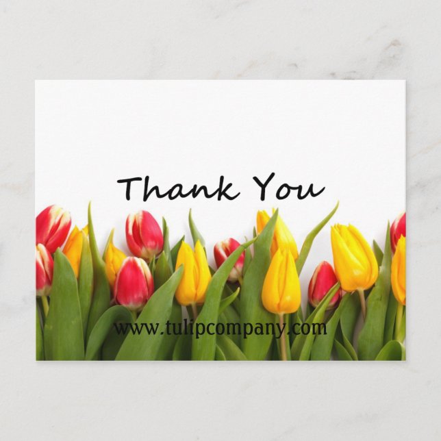 Tarjeta postal de Tulips-Gracias-You Personalizabl (Anverso)