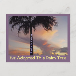 TARJETA POSTAL DE TURCOS Y CAICOS/"HE ADOPTADO ÁRB