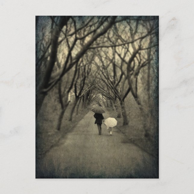 Tarjeta Postal de un Paseo en el Parque (Anverso)