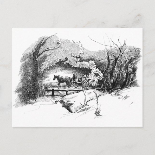 Tarjeta postal de un paseo por Central Park (Anverso)