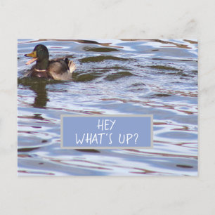 Tarjeta postal de un pato divertido