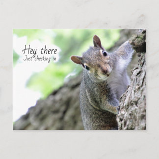 Tarjeta Postal de Un Saludo y Revisión