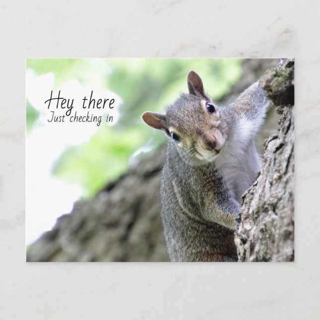 Tarjeta Postal de Un Saludo y Revisión  (Anverso)