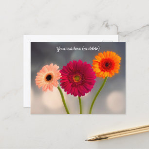 Tarjeta postal de un trío de Gerberas