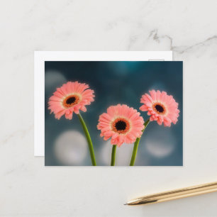 Tarjeta postal de un trío de gerberas rosas