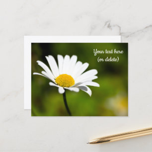 Tarjeta postal de una sola margarita