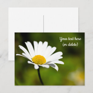 Tarjeta postal de una sola margarita