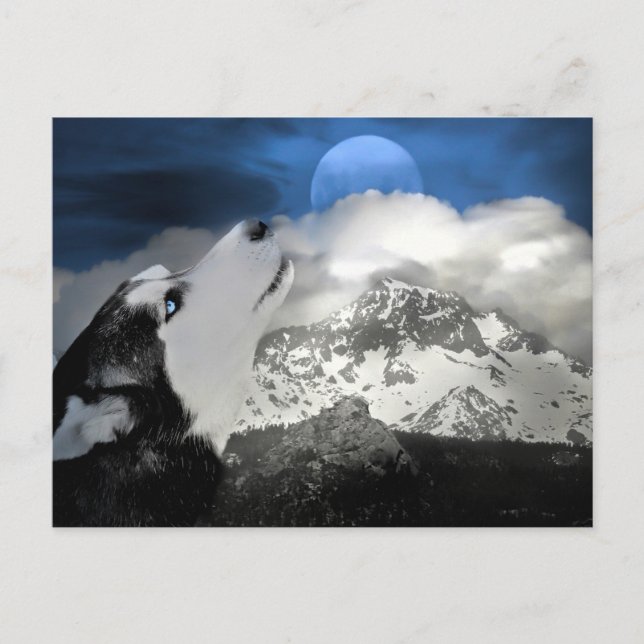Tarjeta postal de vacaciones de Husky Hermoso (Anverso)