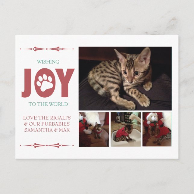 Tarjeta postal de vacaciones de Mascota rojo Clare (Anverso)