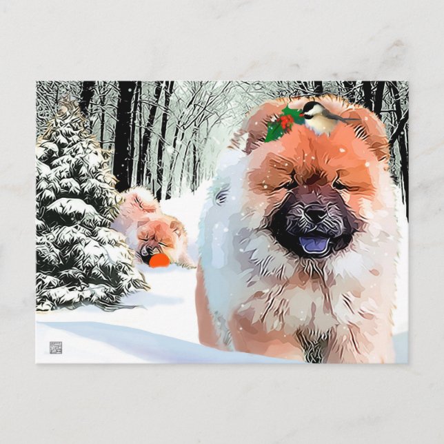 Tarjeta postal de vacaciones de un DÍA DE NIEVE (Anverso)