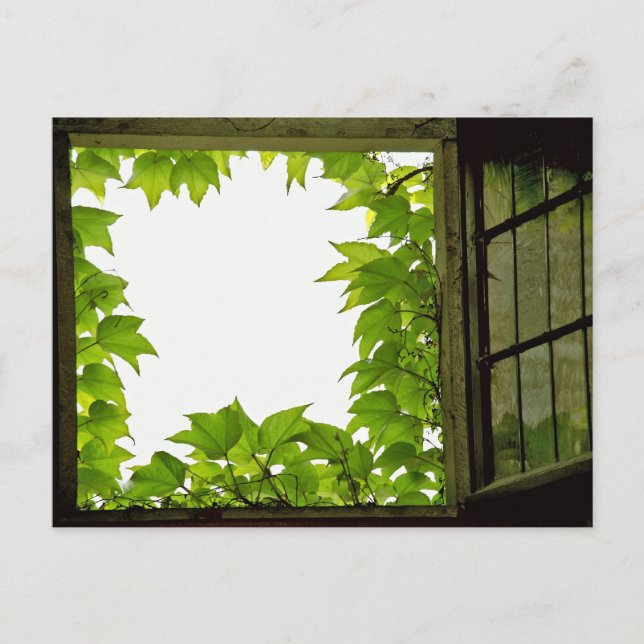Tarjeta postal de ventana (Anverso)