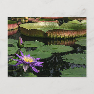 Tarjeta postal de viaje 1