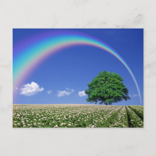 Tarjeta postal de viaje de árbol colorido elegante