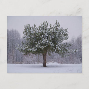 Tarjeta postal de viaje de árbol colorido elegante