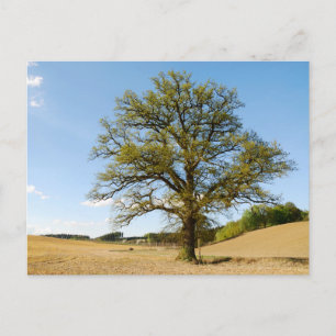 Tarjeta postal de viaje de árbol colorido elegante