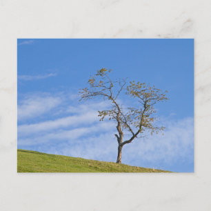 Tarjeta postal de viaje de árbol colorido elegante