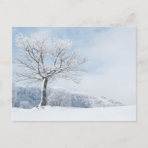 Tarjeta postal de viaje de árbol colorido elegante