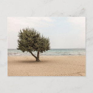 Tarjeta postal de viaje de árbol colorido elegante