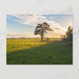 Tarjeta postal de viaje de árbol colorido elegante