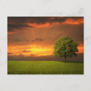 Tarjeta postal de viaje de árbol colorido elegante