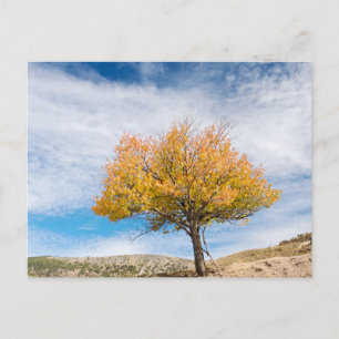 Tarjeta postal de viaje de árbol colorido elegante