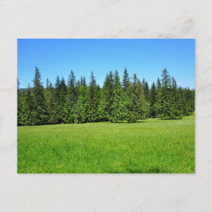 Tarjeta postal de viaje de árbol colorido elegante