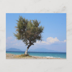 Tarjeta postal de viaje de árbol colorido elegante