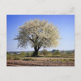 Tarjeta postal de viaje de árbol colorido elegante