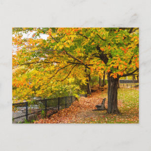 Tarjeta postal de viaje de árbol colorido elegante