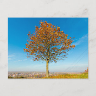Tarjeta postal de viaje de árbol colorido elegante